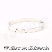17 sliver no diainonds