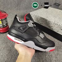 Bred Reimagined