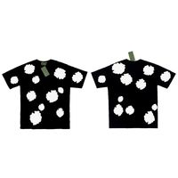 T2