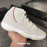 17 Platinum Tint