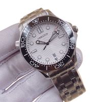 SILVER dial black bezel steel