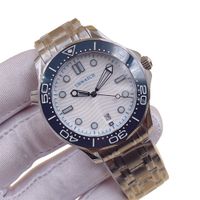 Silver dial blue bezel steel