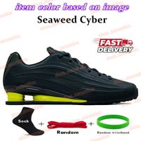 85 Seaweed Cyber
