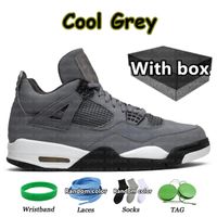 #46 Cool Grey