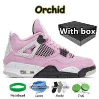 #15 Orchid