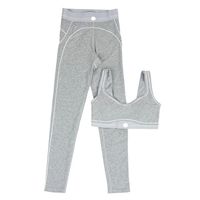 Grey bra set