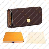 Brown Flower Brown / With Dust Bag & Box