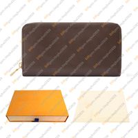 27683# Brown / With Dust Bag & Box