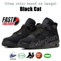 01 Black Cat