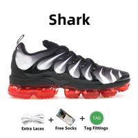 Item.26 36-47