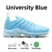 Item.8 36-45