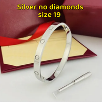19# Silver without diamond
