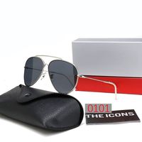0101 Silver black