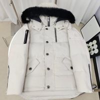 Style 6