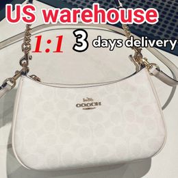 Correct version teri shoulder bag designerbag designer bag shoulder bag sac Designer Bags 2026 Trends crossbody bag beachbag designer bags for women purse wallet